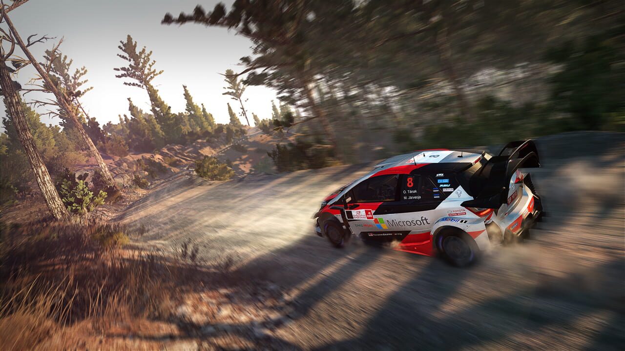 Screenshot for WRC 8