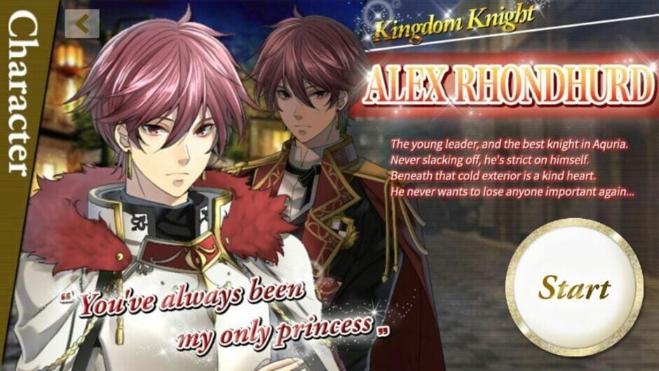 Screenshot for Princess to Be