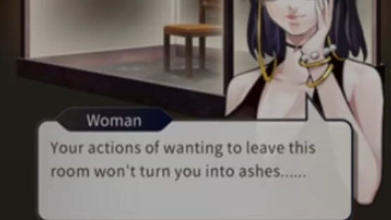 Screenshot for Tokyo Crazy Museum