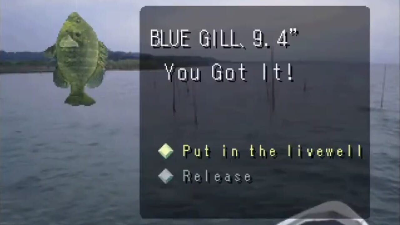 Screenshot for Reel Fishing