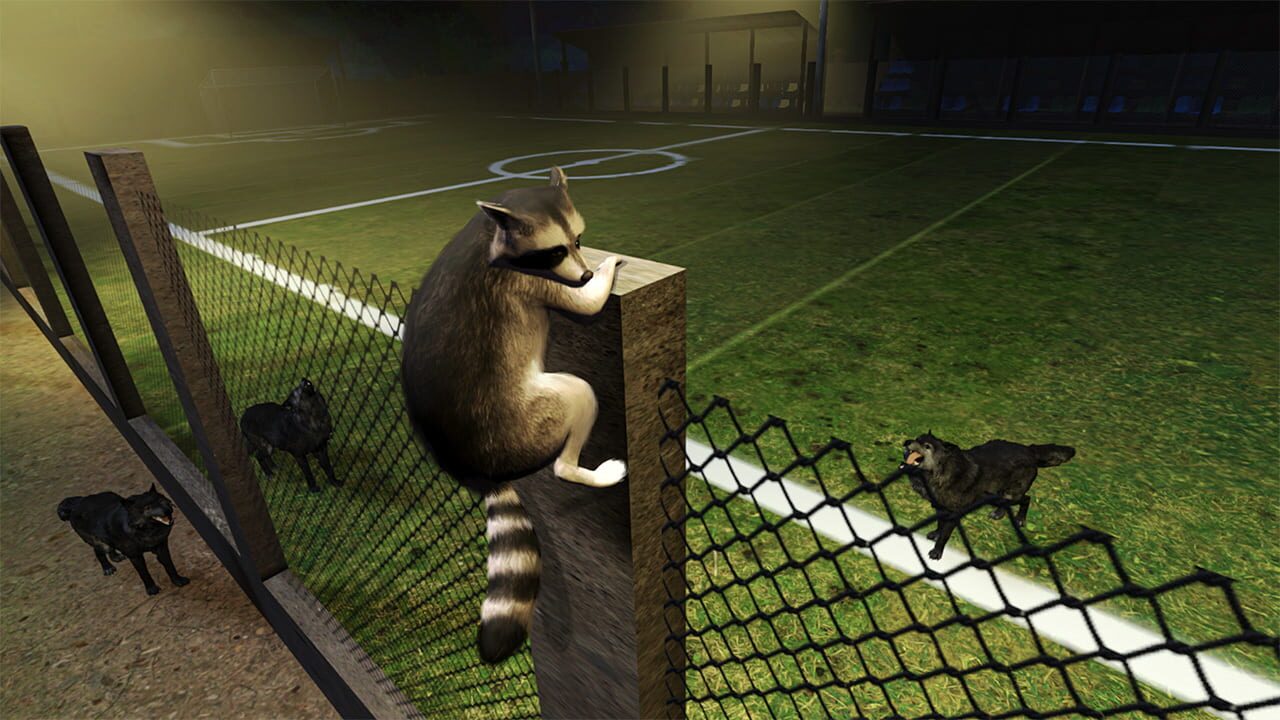 Screenshot for Raccoon Adventure
