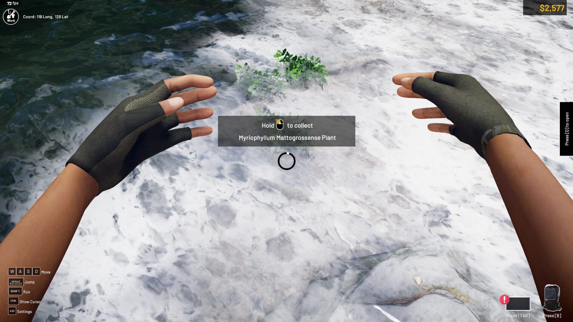 Screenshot for Aquascapers