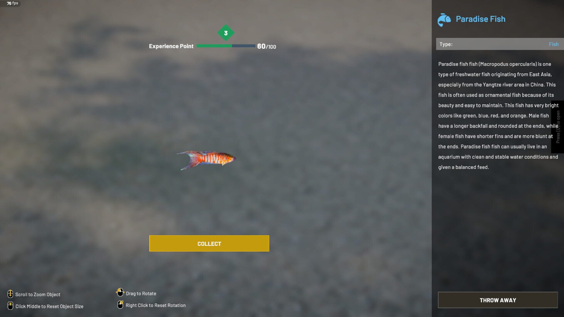 Screenshot for Aquascapers