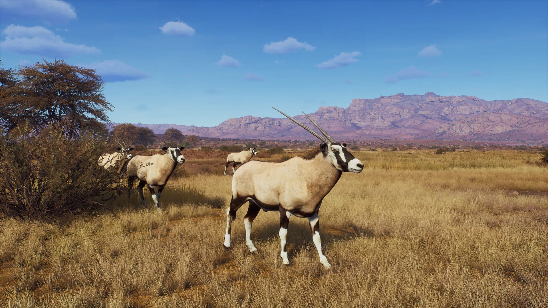 Screenshot for Way of the Hunter: Tikamoon Plains
