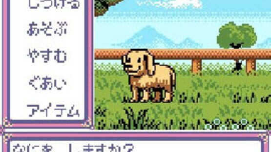 Screenshot for Kawaii Pet Shop Monogatari 2