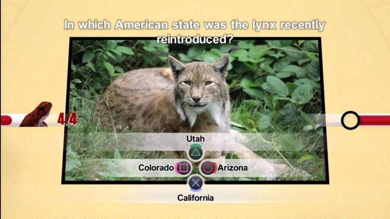 Screenshot for Nat Geo Challenge! Wild Life