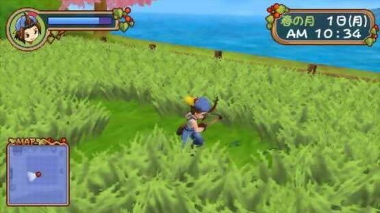 Screenshot for Harvest Moon: Hero of Leaf Valley