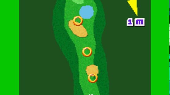 Screenshot for Sonic Golf 3D