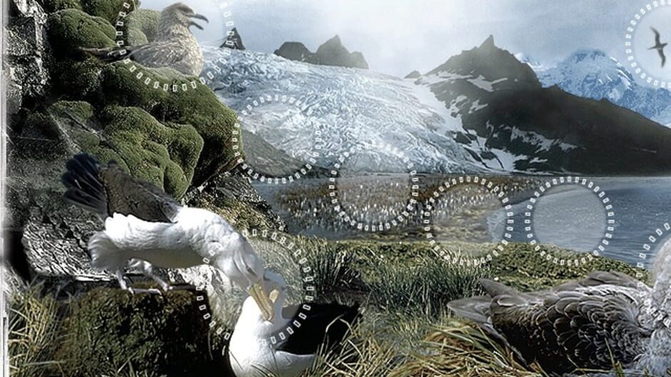 Screenshot for Attenborough's Antarctic: An Exploration of Life in the Freezer