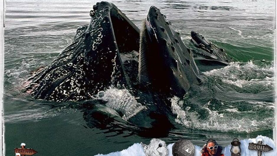 Screenshot for Attenborough's Antarctic: An Exploration of Life in the Freezer