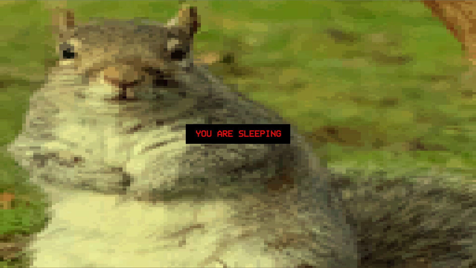 Screenshot for Squirrel Stapler