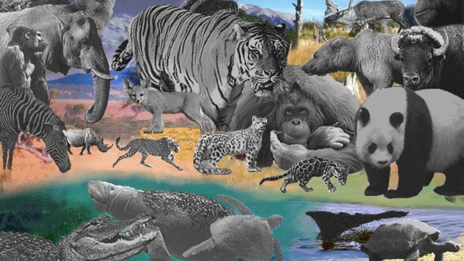 Screenshot for Discovering Endangered Wildlife