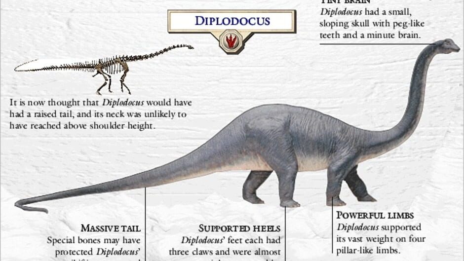 Screenshot for 3D Dinosaur Hunter