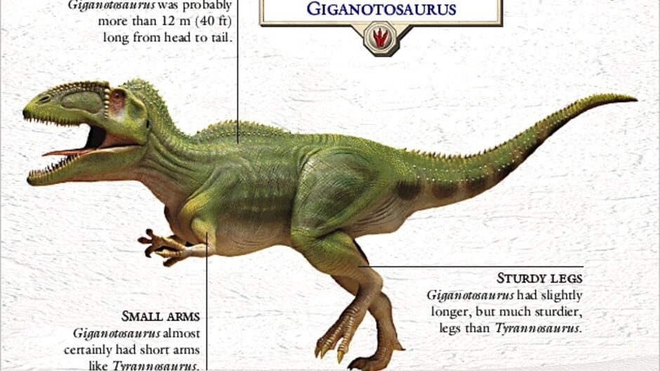 Screenshot for 3D Dinosaur Hunter
