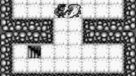 Screenshot for Cave Noire