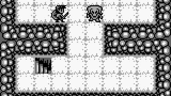 Screenshot for Cave Noire