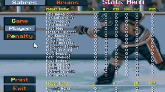 Screenshot for Wayne Gretzky Hockey 3