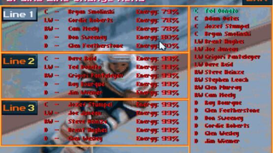Screenshot for Wayne Gretzky Hockey 3