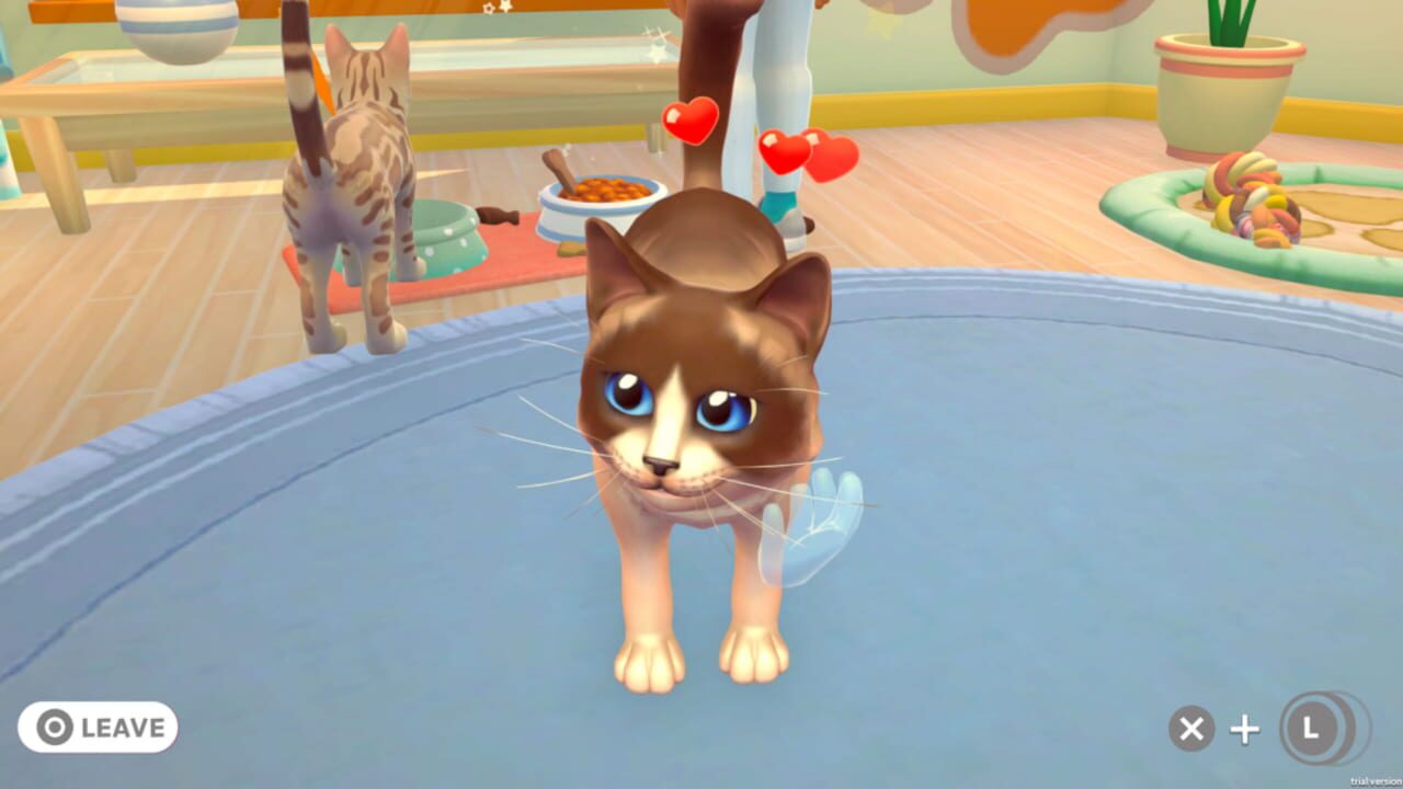 Screenshot for My Universe: Pet Clinic - Cats & Dogs: Panda Edition