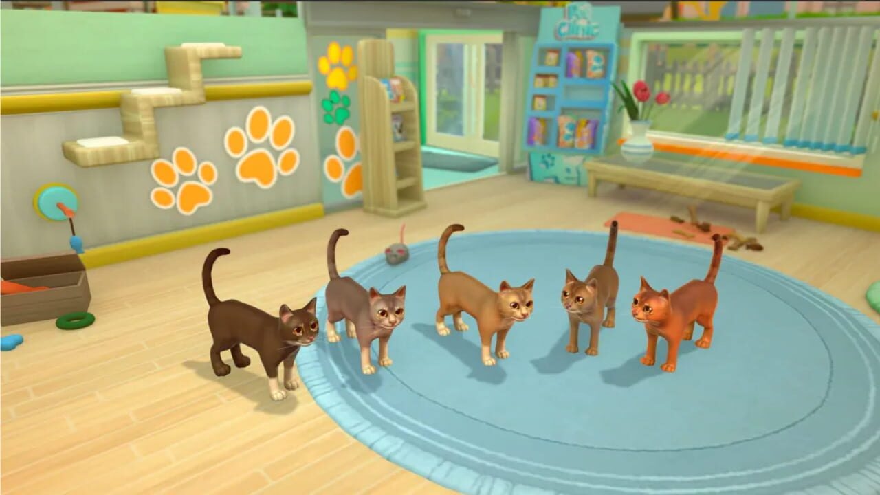 Screenshot for My Universe: Pet Clinic - Cats & Dogs: Panda Edition