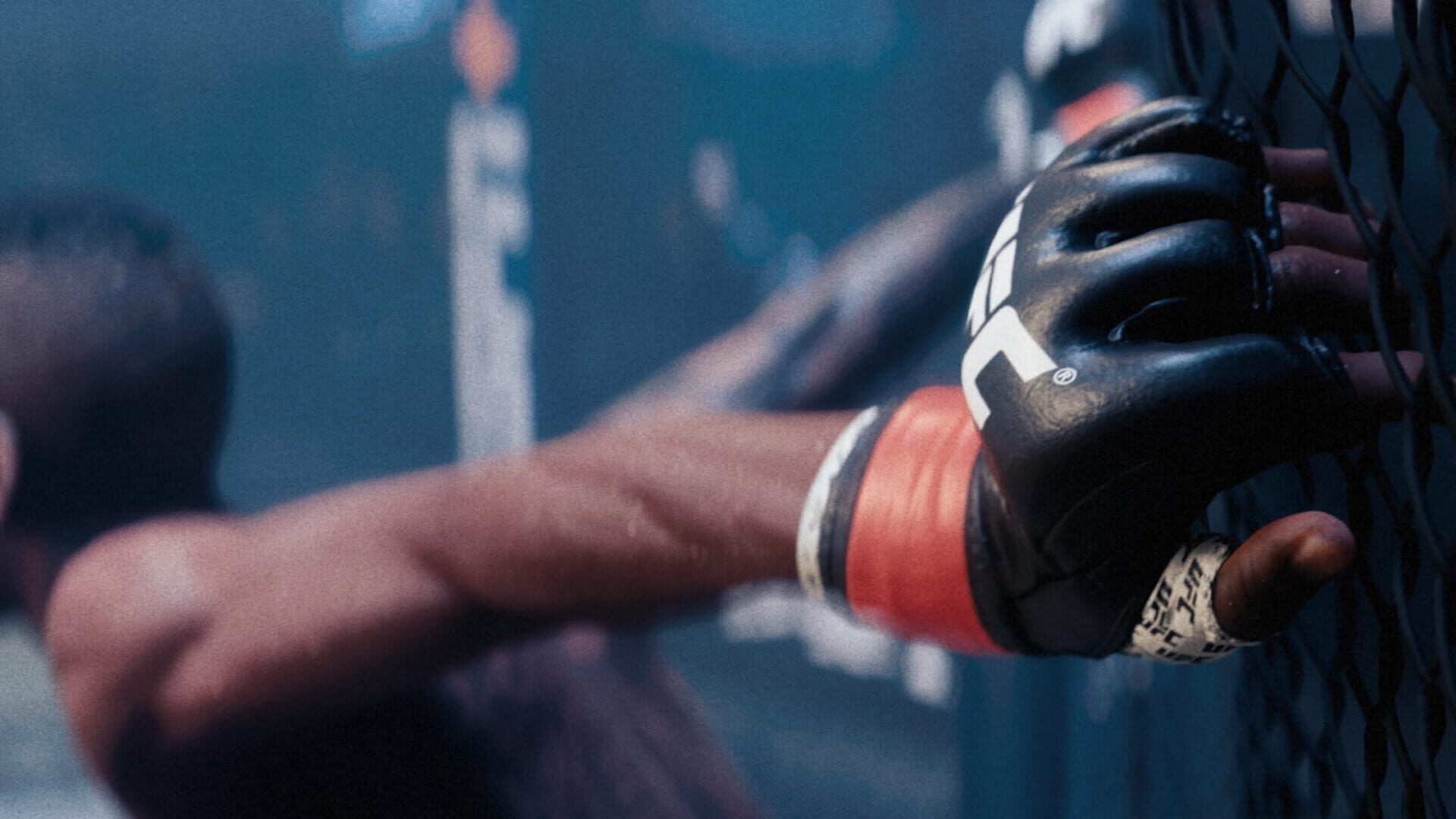 Screenshot for EA Sports UFC 5