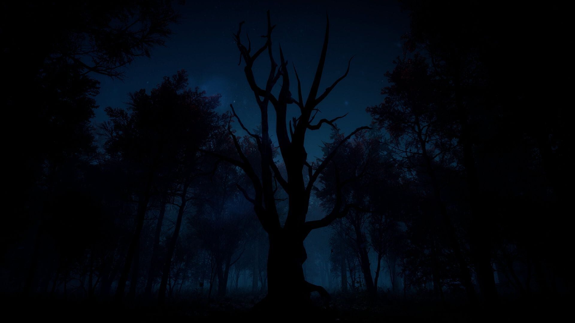 Screenshot for Slender: The Arrival