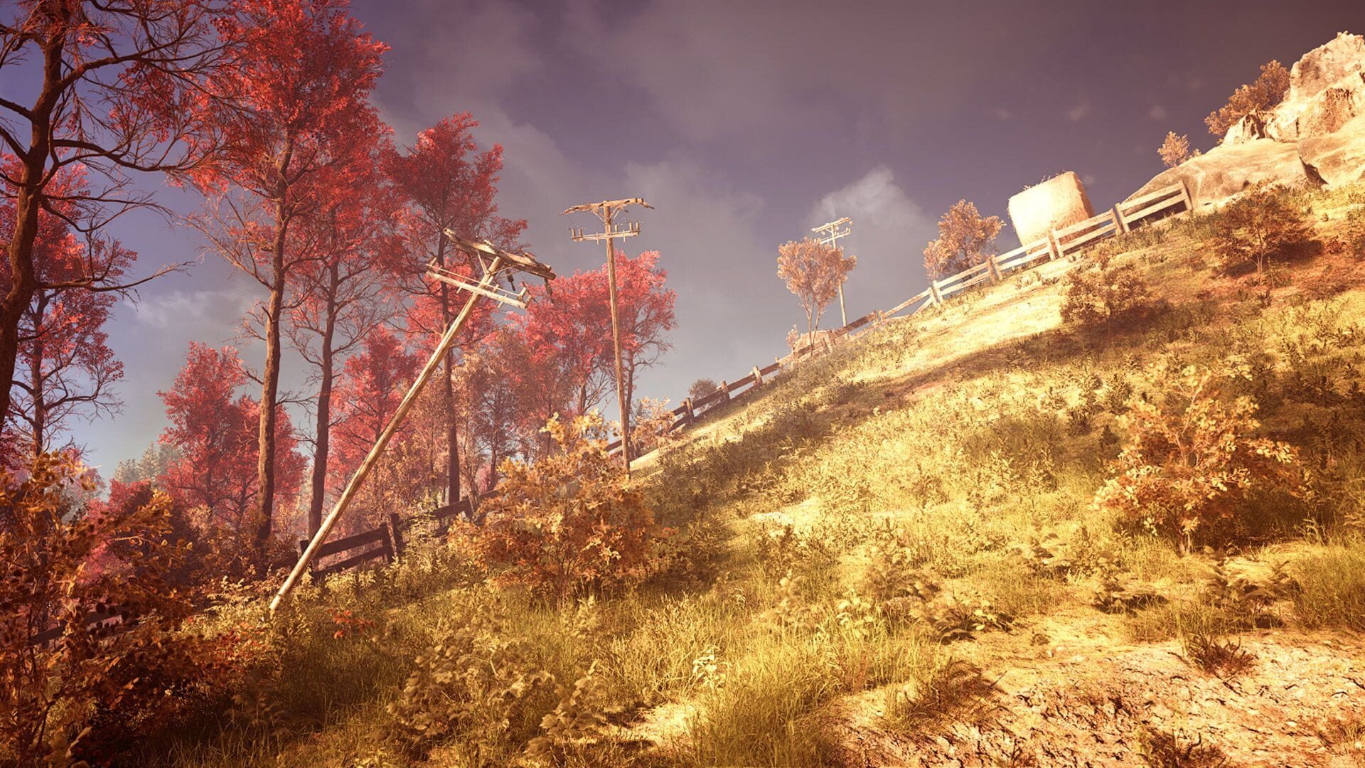 Screenshot for Slender: The Arrival