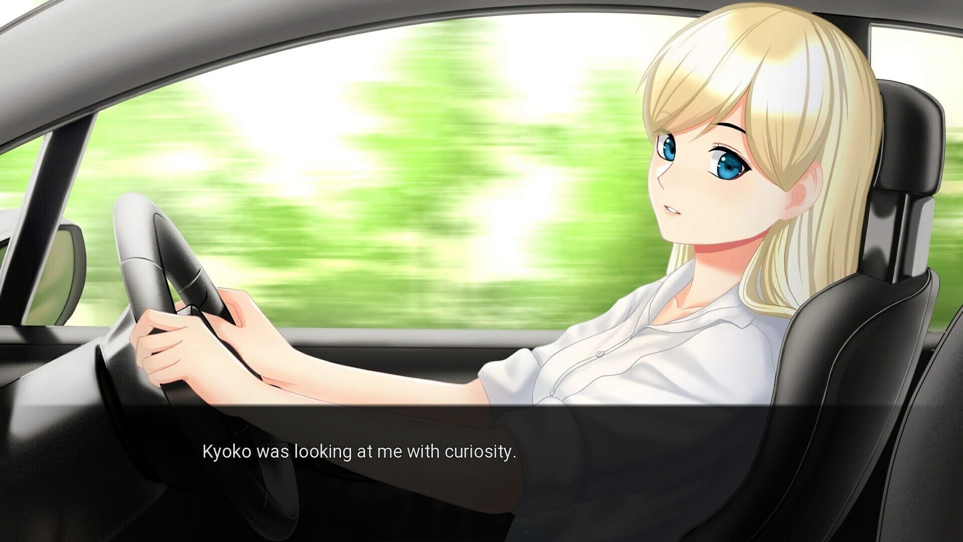 Screenshot for My Summer Adventure: Memories of Another Life