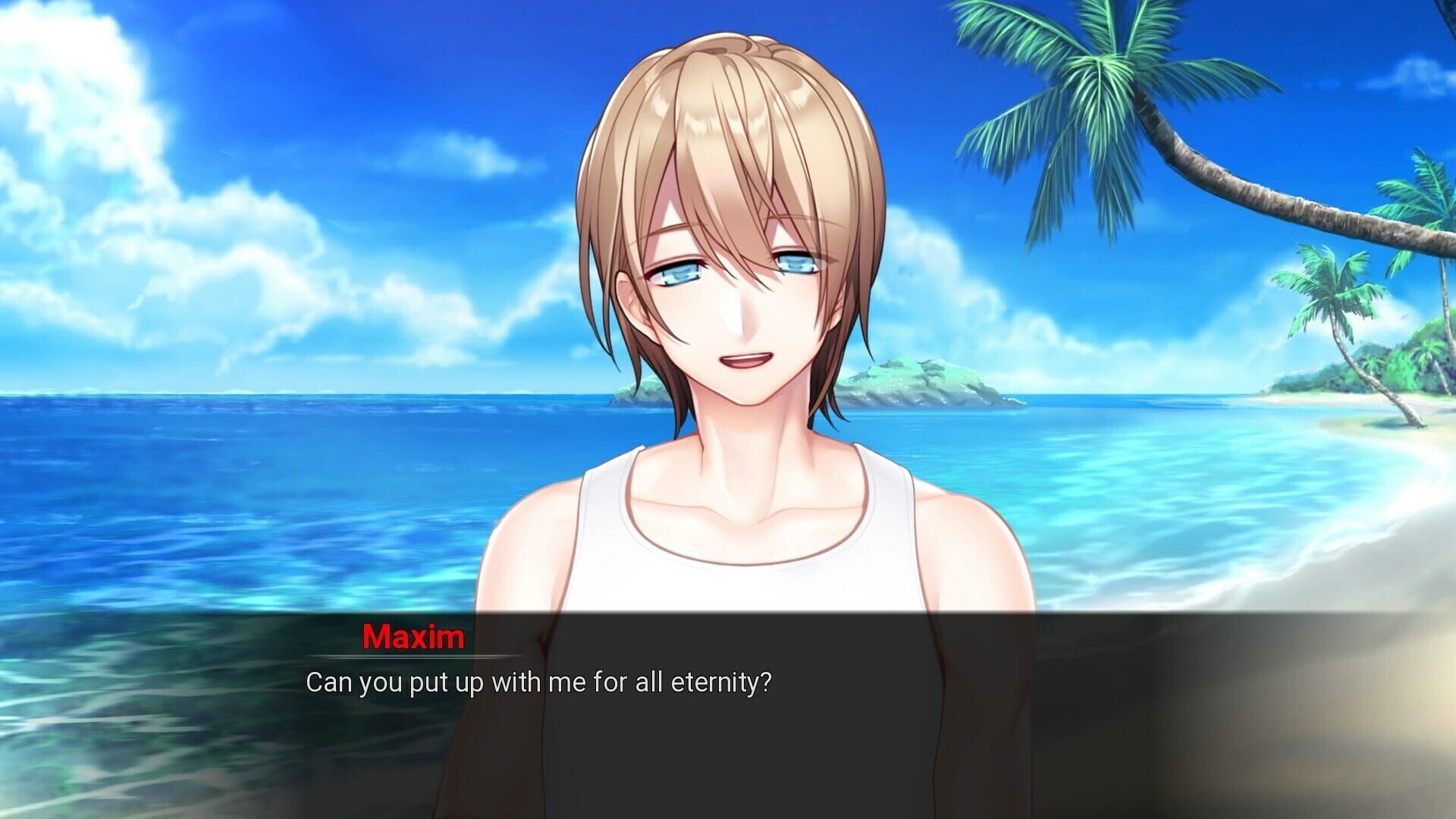 Screenshot for My Summer Adventure: Memories of Another Life