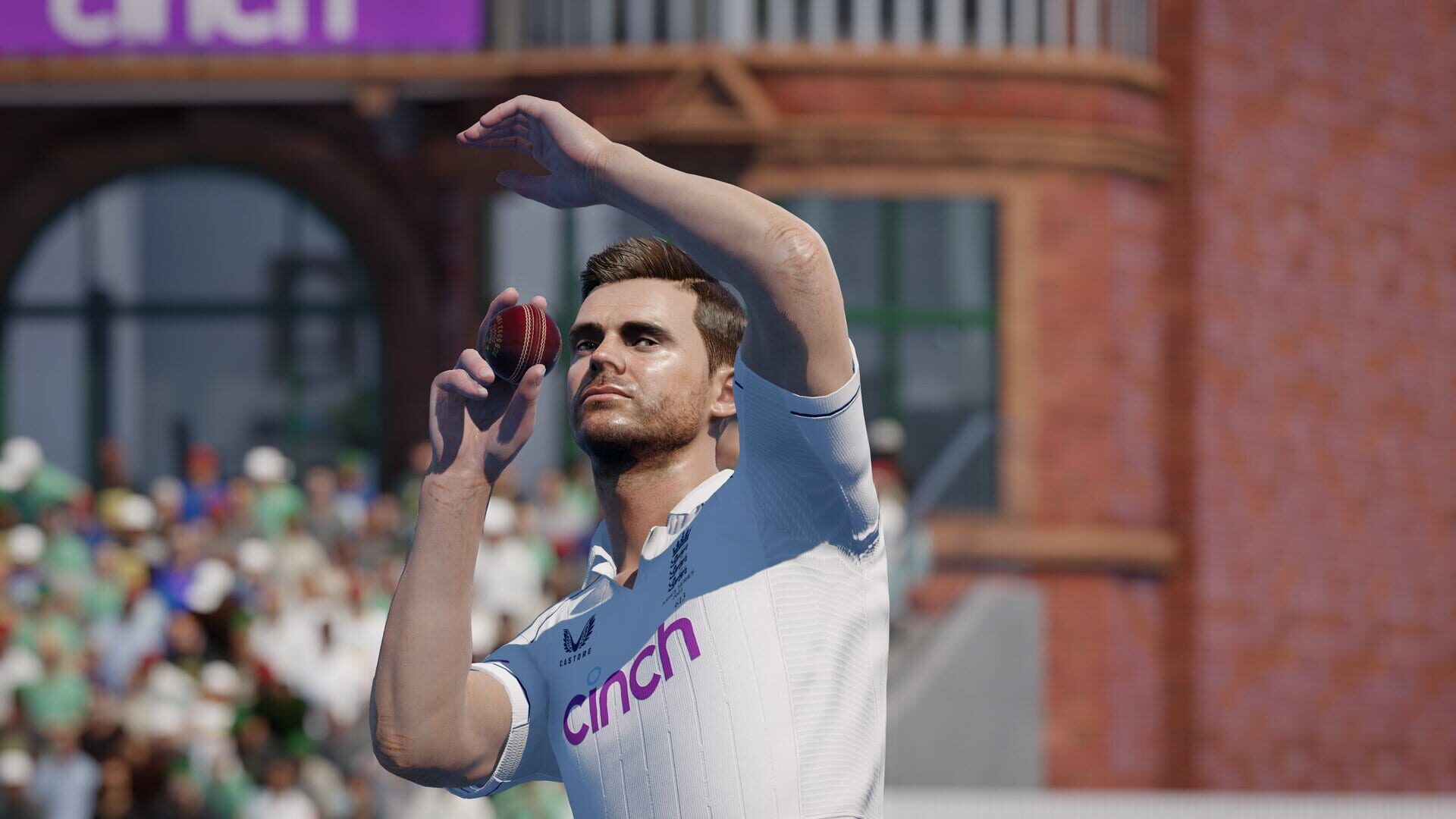 Screenshot for Cricket 24