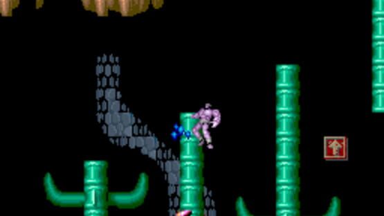 Screenshot for Black Tiger