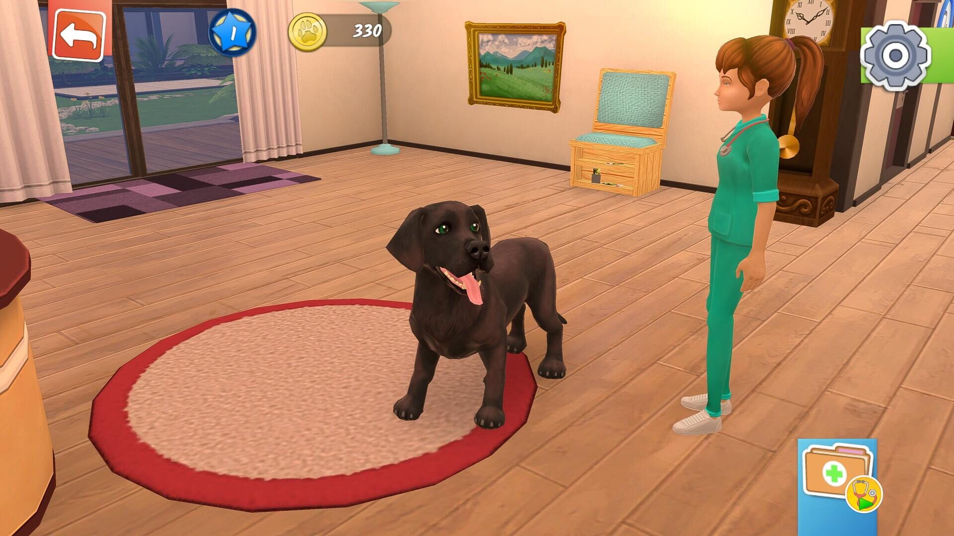 Screenshot for Animal Hospital