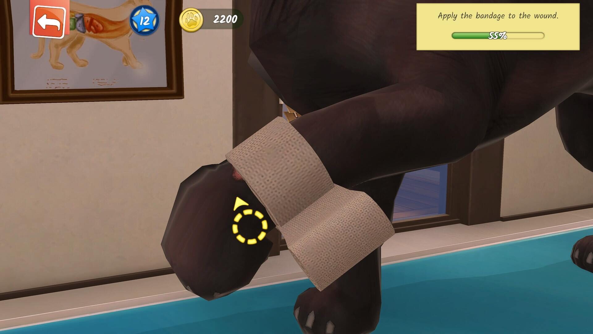 Screenshot for Animal Hospital