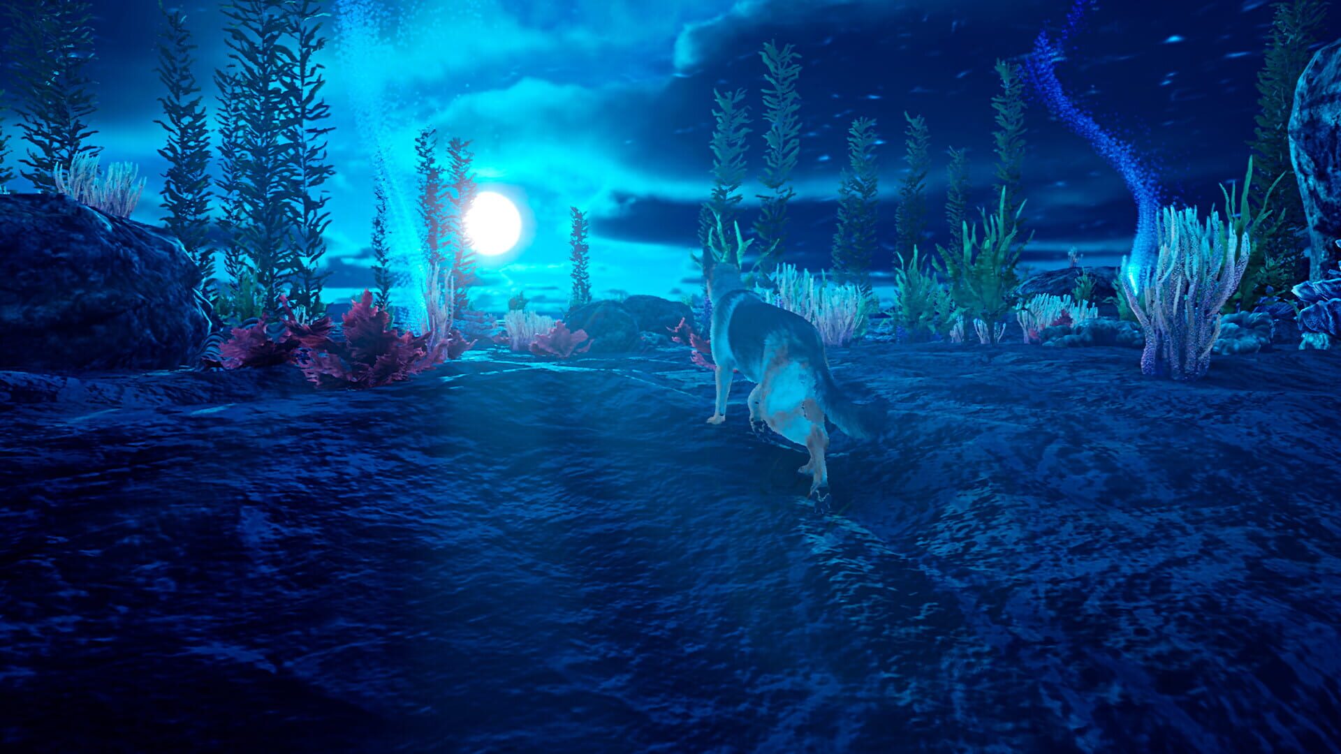 Screenshot for Doggy Up!
