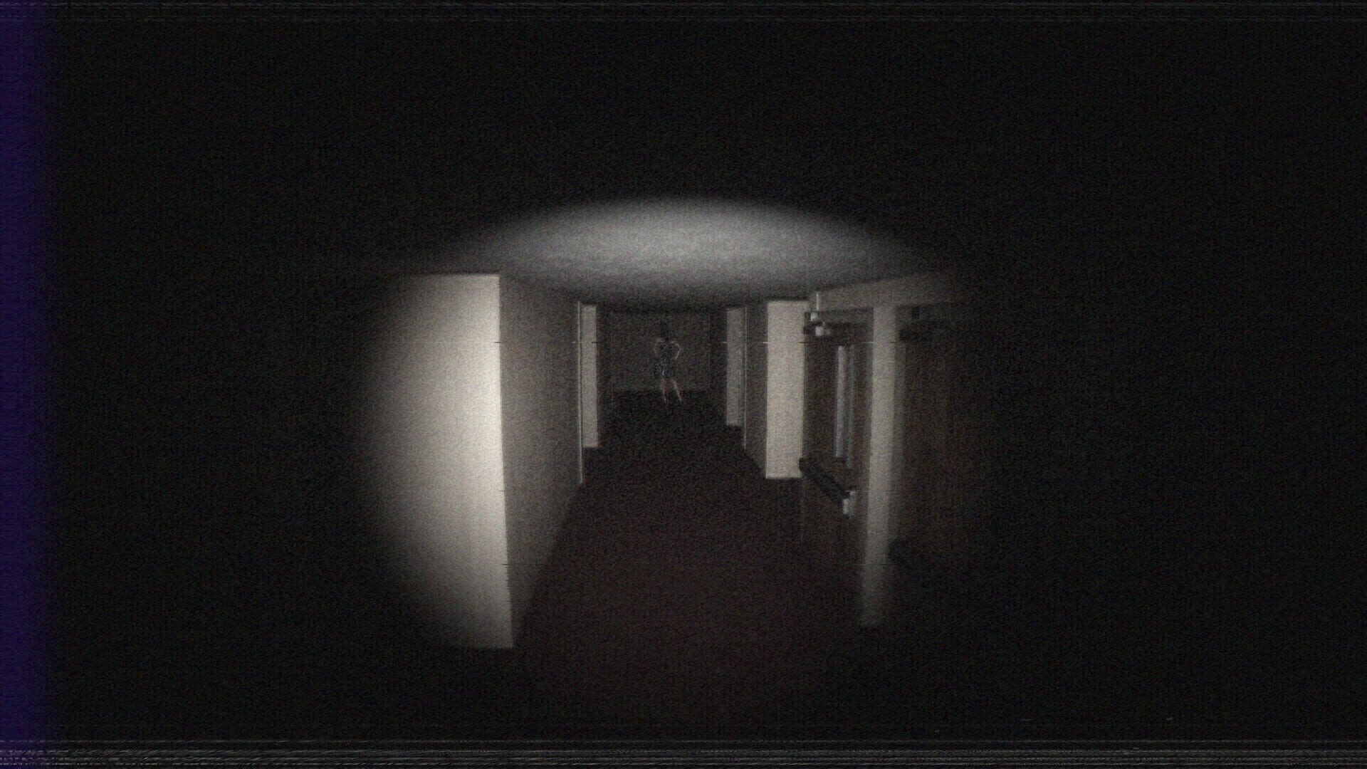 Screenshot for Silkbulb Test