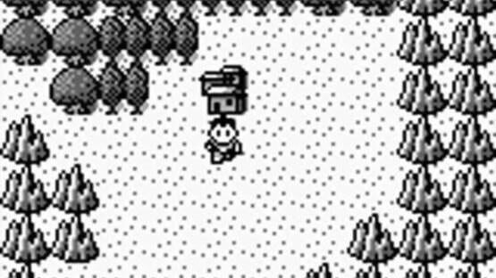 Screenshot for Super Chinese Land 3