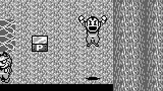 Screenshot for Super Chinese Land 3