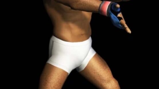 Screenshot for Pride FC: Fighting Championships
