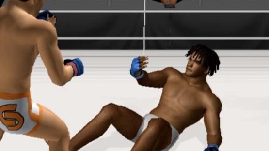 Screenshot for Pride FC: Fighting Championships