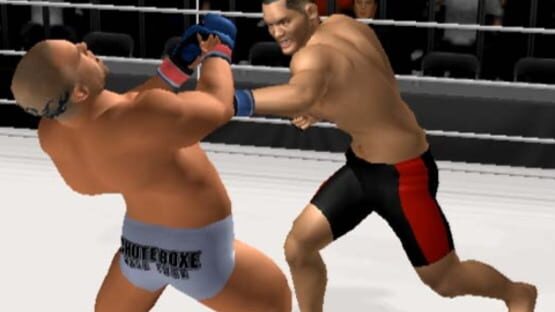 Screenshot for Pride FC: Fighting Championships