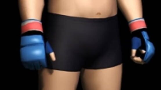 Screenshot for Pride FC: Fighting Championships