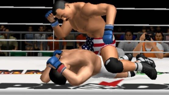 Screenshot for Pride FC: Fighting Championships