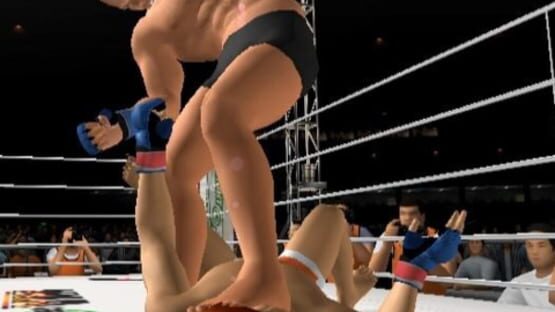 Screenshot for Pride FC: Fighting Championships