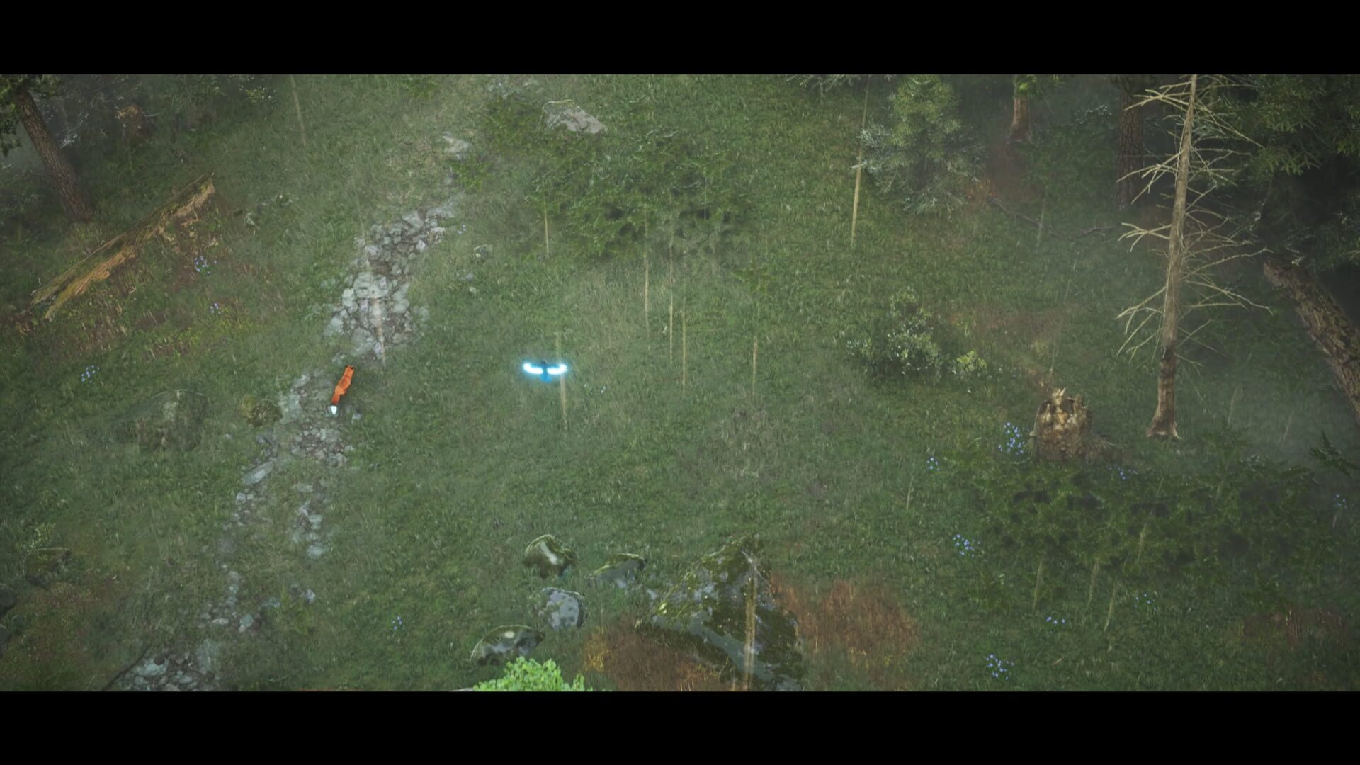 Screenshot for Spirit of the North 2