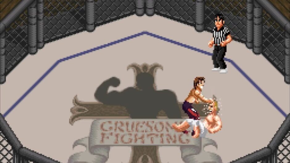 Screenshot for Super Fire Pro Wrestling Special