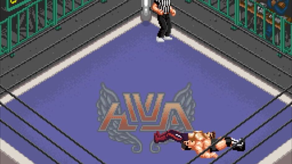 Screenshot for Super Fire Pro Wrestling Special