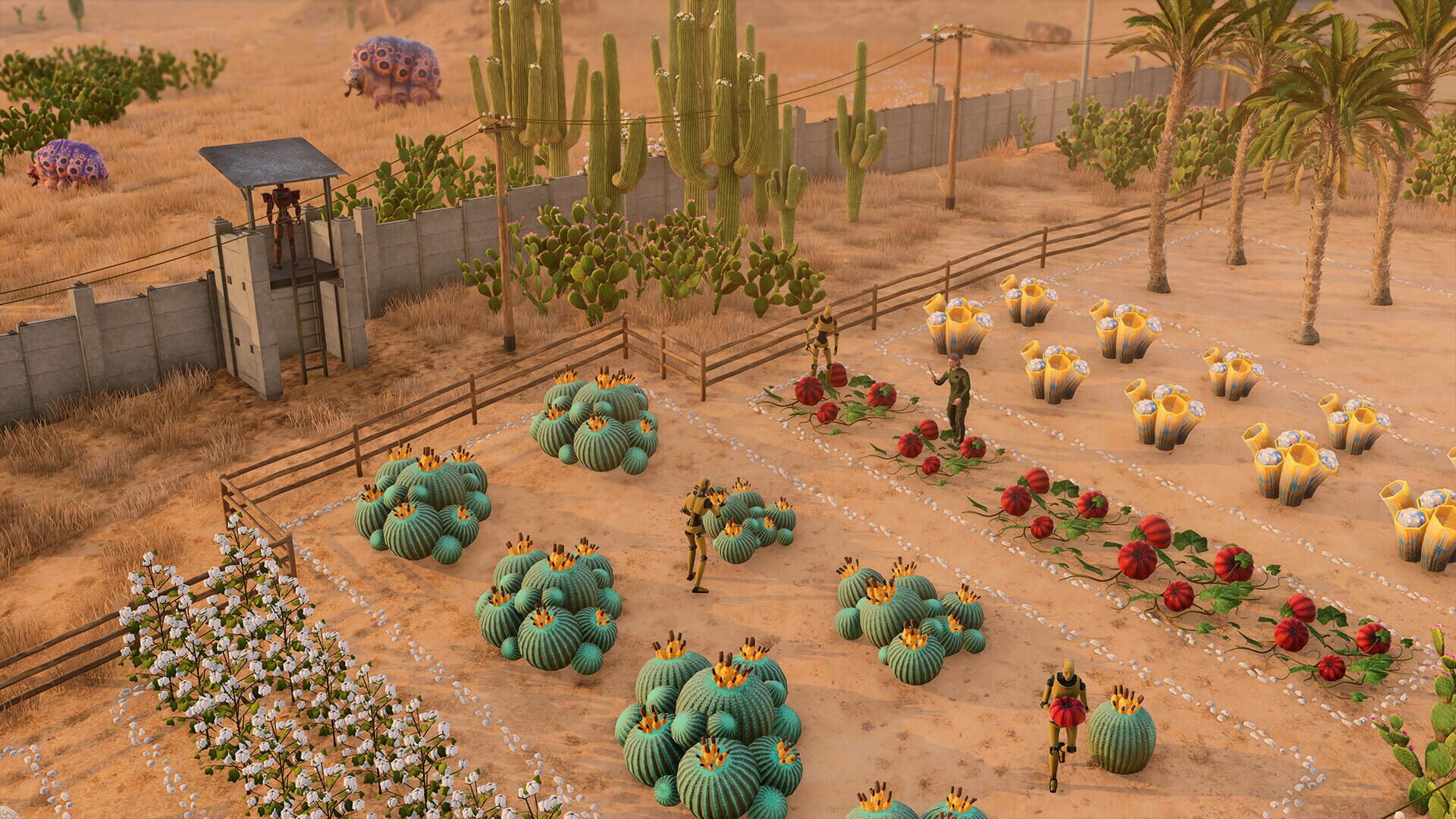 Screenshot for Stranded: Alien Dawn - Robots and Guardians