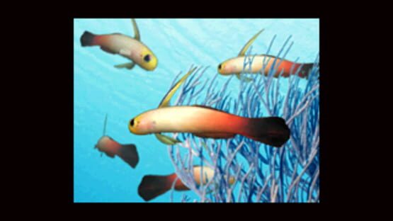 Screenshot for Aqua-World: Umi Monogatari
