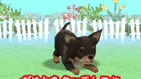 Screenshot for Wan Nyan Doubutsu Byouin