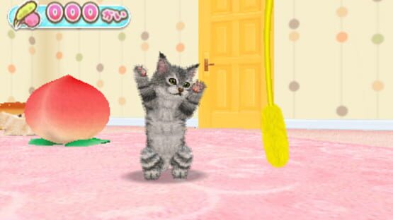 Screenshot for Kawaii Pet to Kurasou! Wan Nyan & Idol Animal
